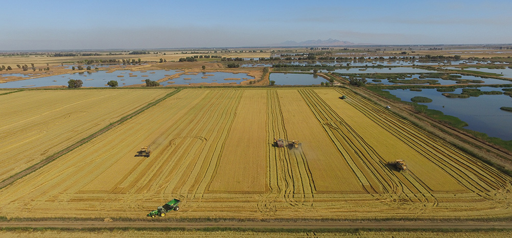 aerial view of fields